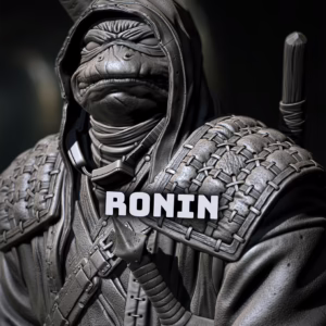 Ronin – Ninja Turtles