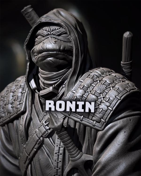 Ronin - Ninja Turtles