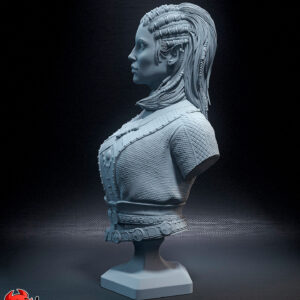 Jaheira - Baldur’s Gate 3 - miniatura 6