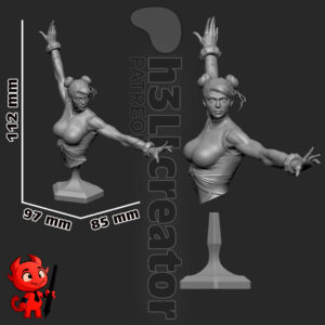 Chun Li - Street Fighter - miniatura 10