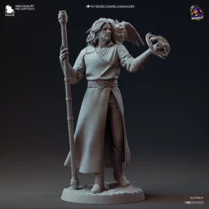 Gale – Baldur's Gate 3 - miniatura 2